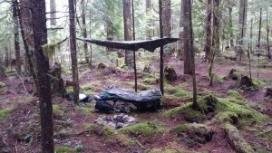 Base Camp Squatchin